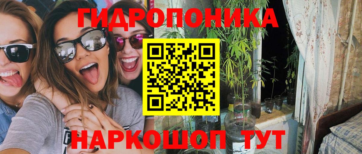 Каннабис Amnesia Ессентуки